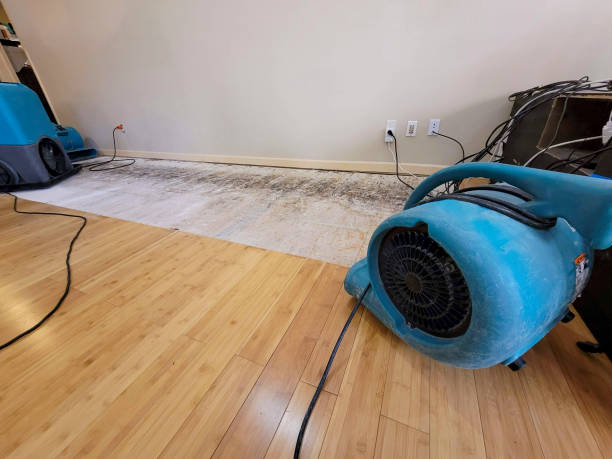 Professional Water Damage Repair technician working in Chesapeake, WV